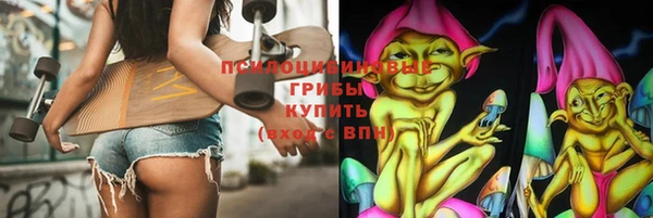 МДПВ Нея