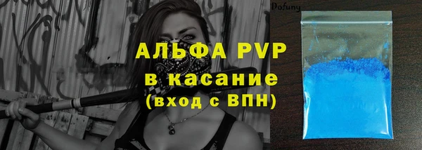 МДПВ Нея