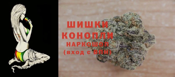 МДПВ Нея