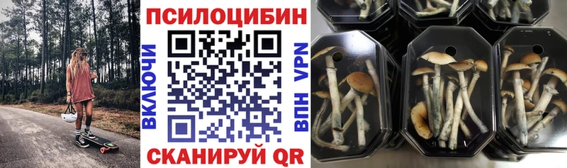Псилоцибиновые грибы GOLDEN TEACHER Нюрба