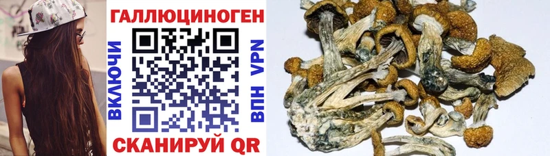 Галлюциногенные грибы мухоморы  Нюрба 